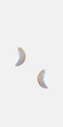 Puces Luna