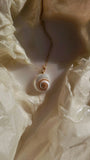 Collier coquillage Céleste - Zyrola