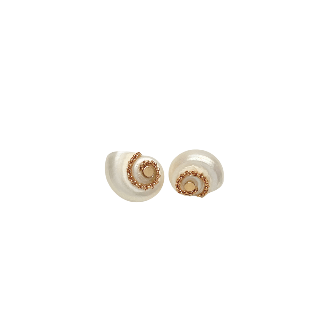 Boucles coquillage Céleste - Zyrola