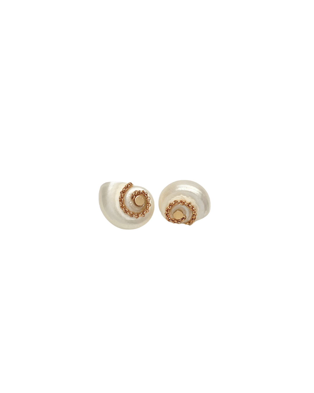 Boucles coquillage Céleste - Zyrola