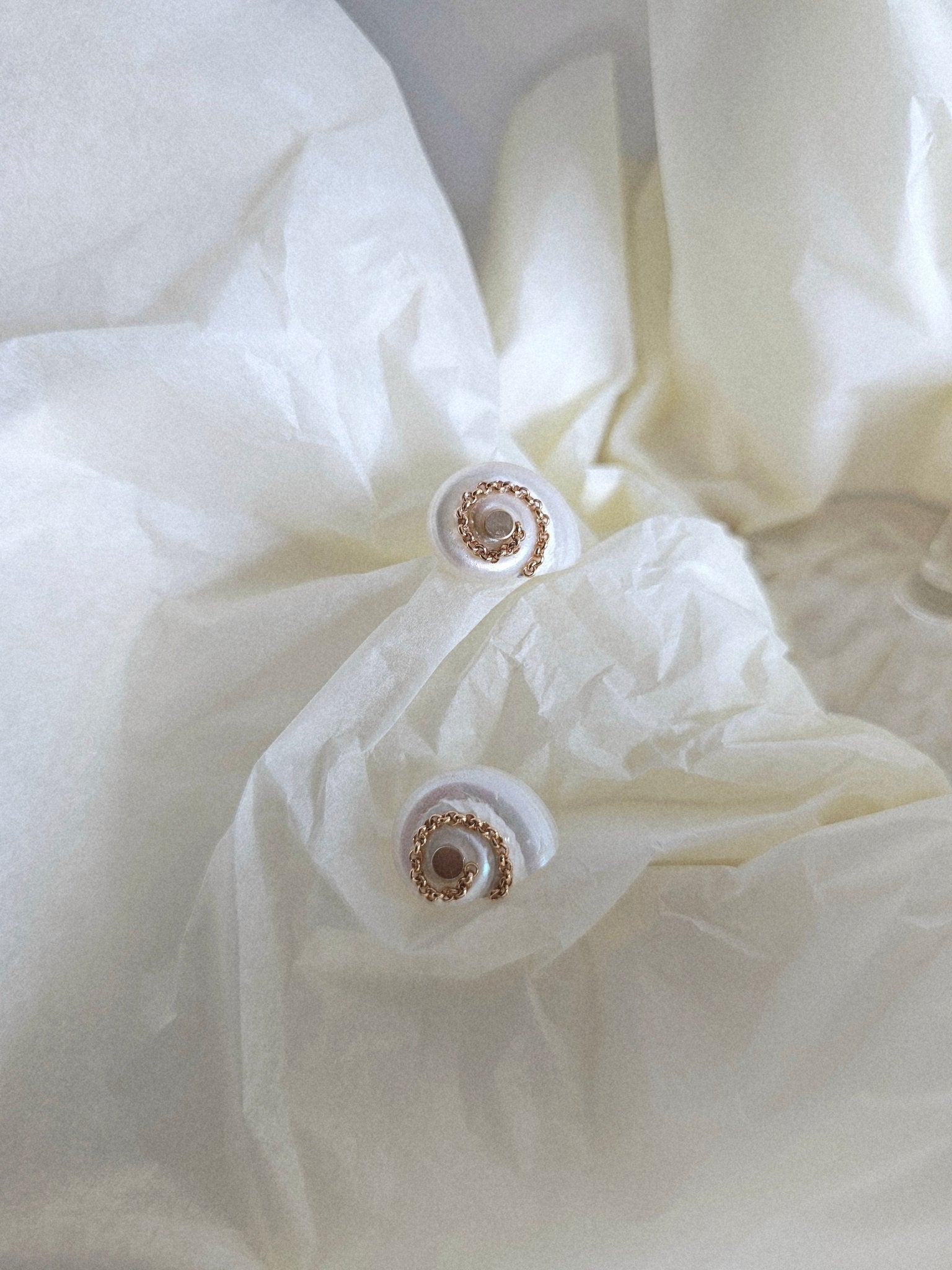 Boucles coquillage Céleste - Zyrola