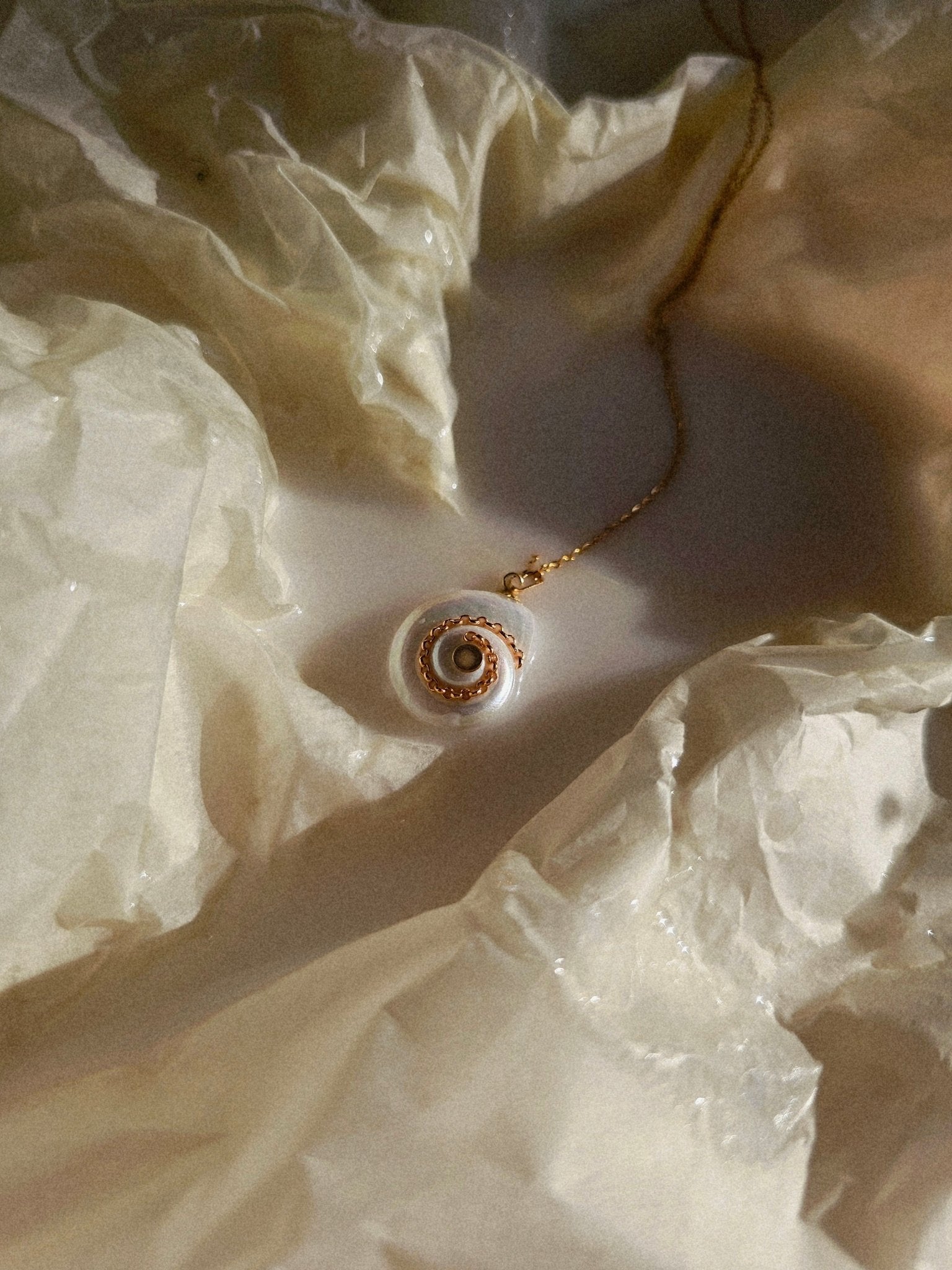 Collier coquillage Céleste - Zyrola
