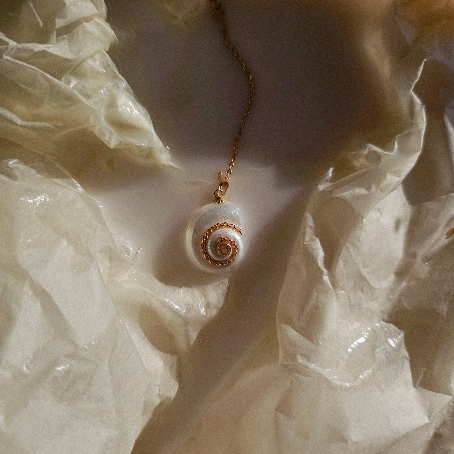 Collier coquillage Céleste - Zyrola