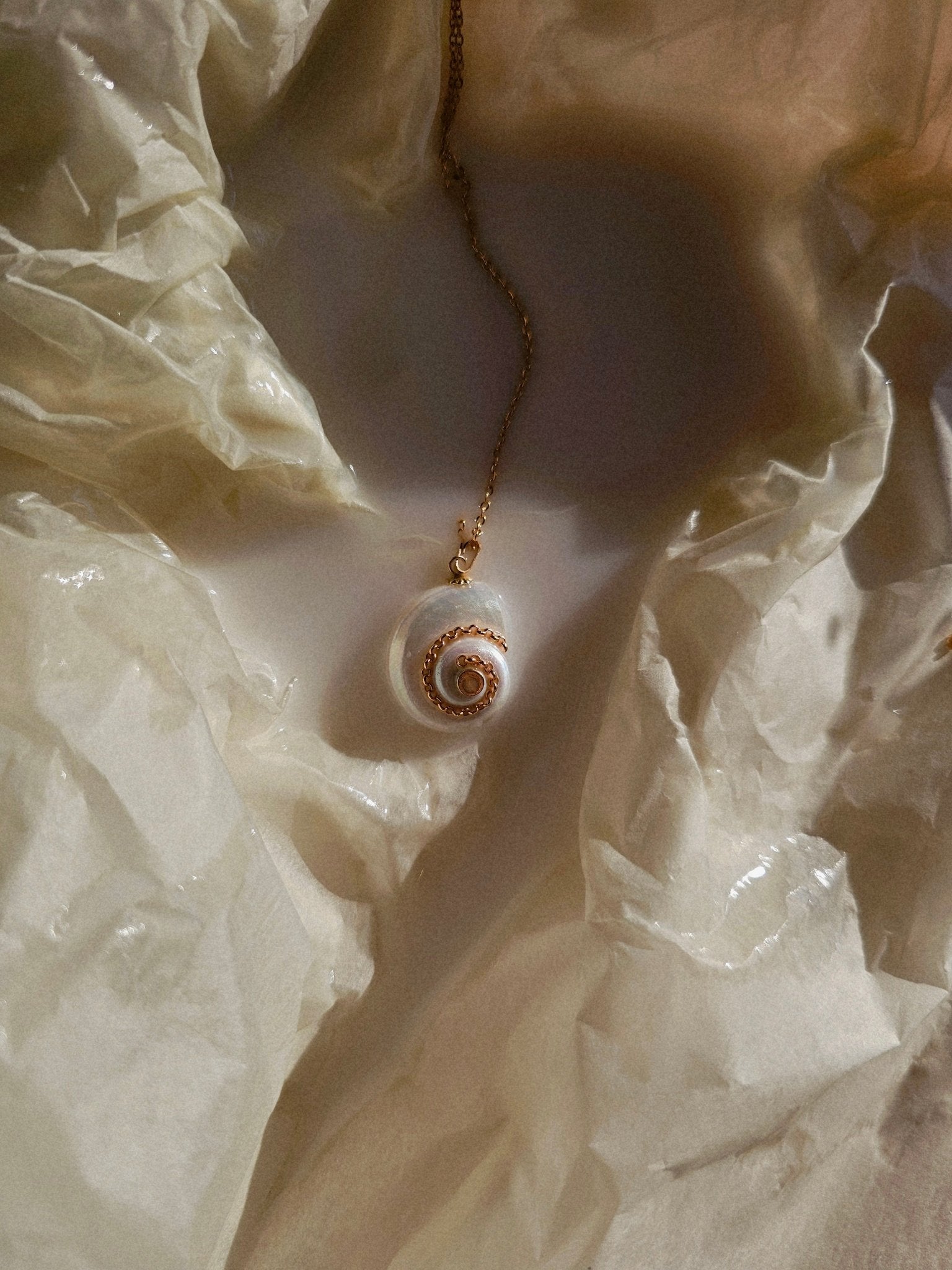 Collier coquillage Céleste - Zyrola