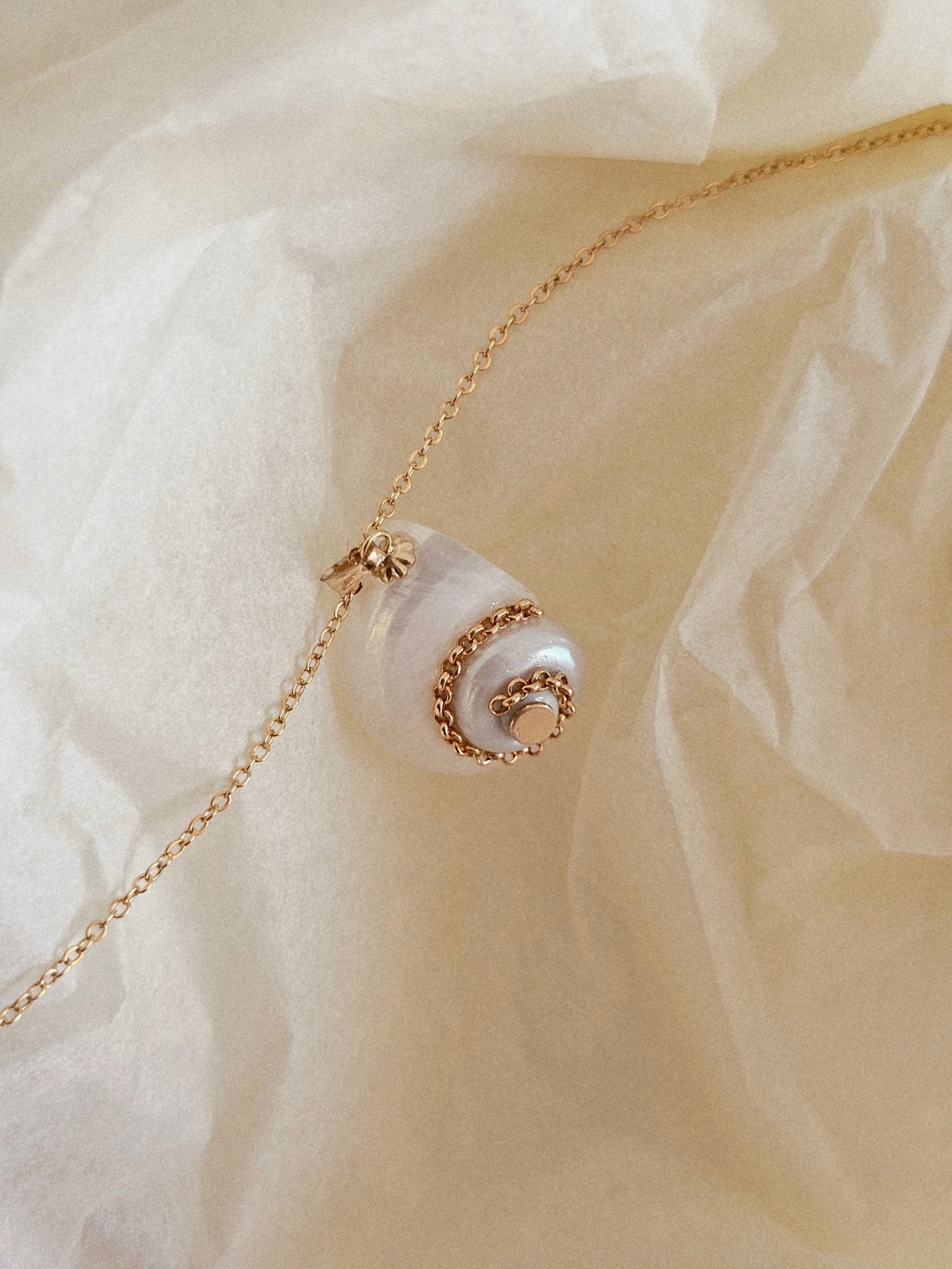 Collier coquillage Céleste - Zyrola