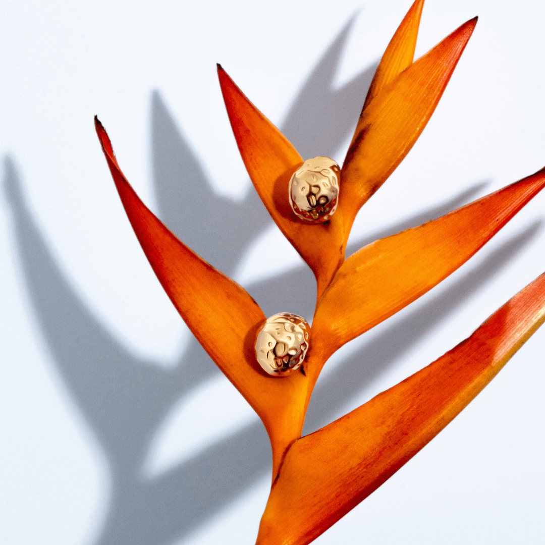 Collins Gold Earrings - Zyrola