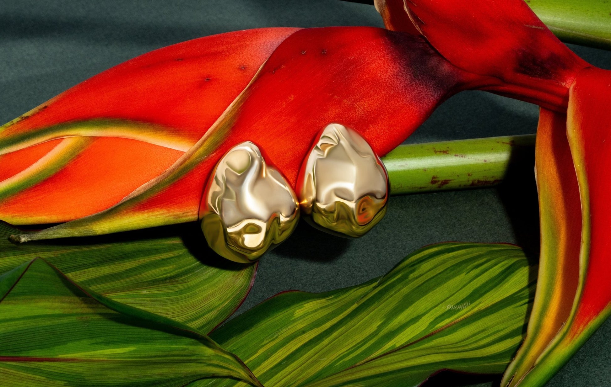 Giselle Gold Earrings - Zyrola