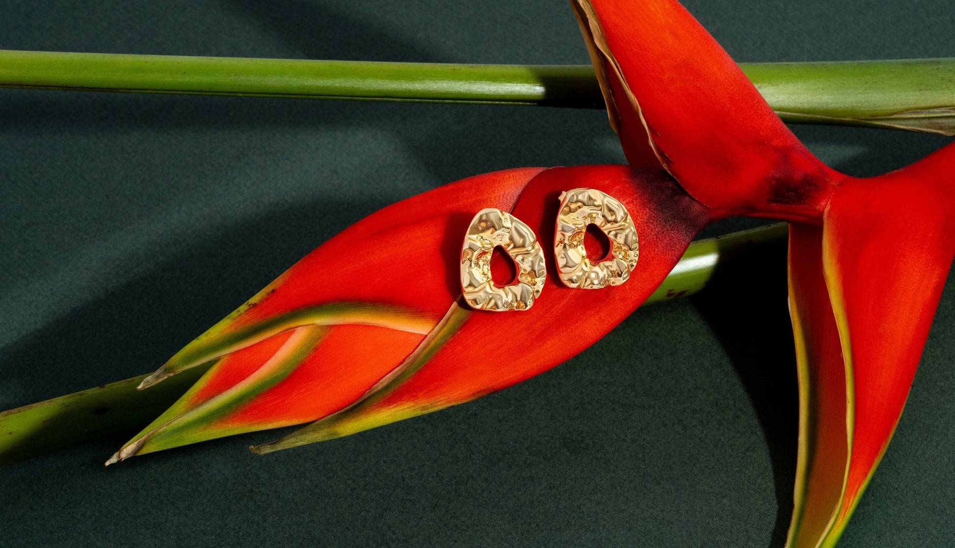 Nathalia Gold Earrings - Zyrola